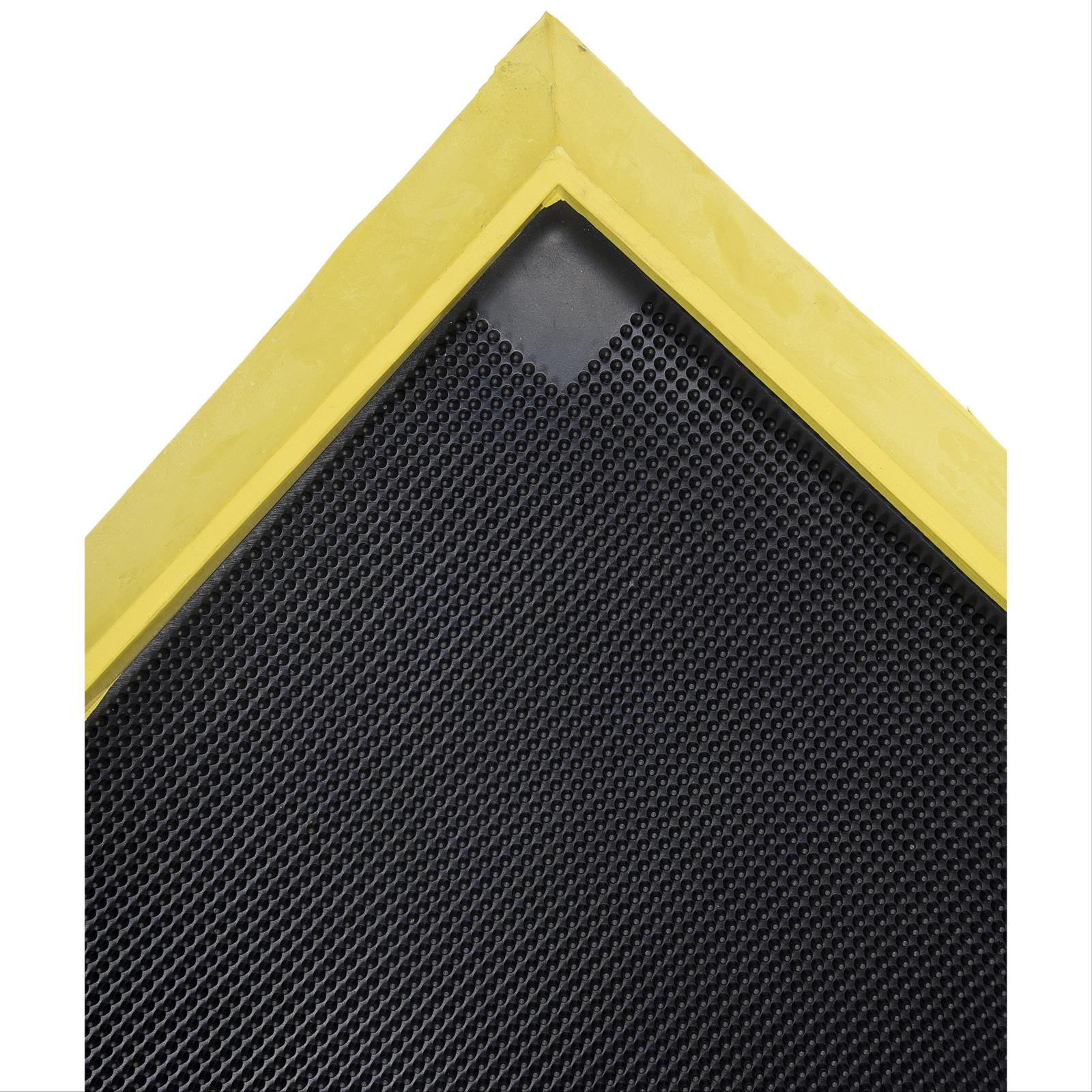 Notrax® Sani-Trax® Plus Disinfectant Mat