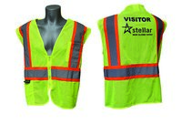 VIS450GM